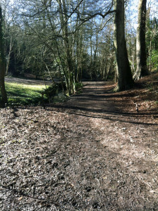 A scene from my run today (now you know why my shoes are so muddy!)